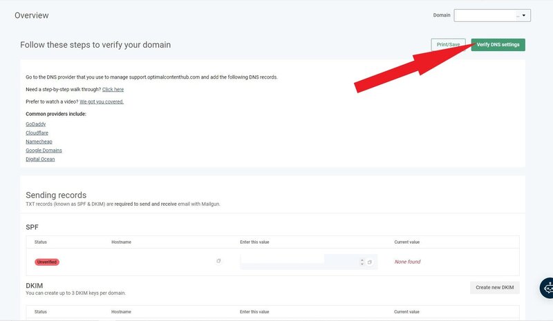 View DNS Settings in Mailgun