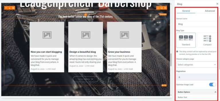 Blog Customization Option