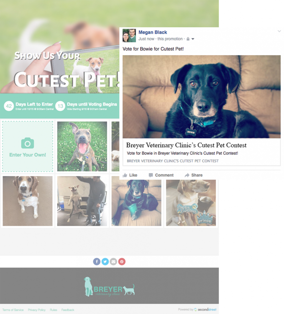 Customize Social Sharing